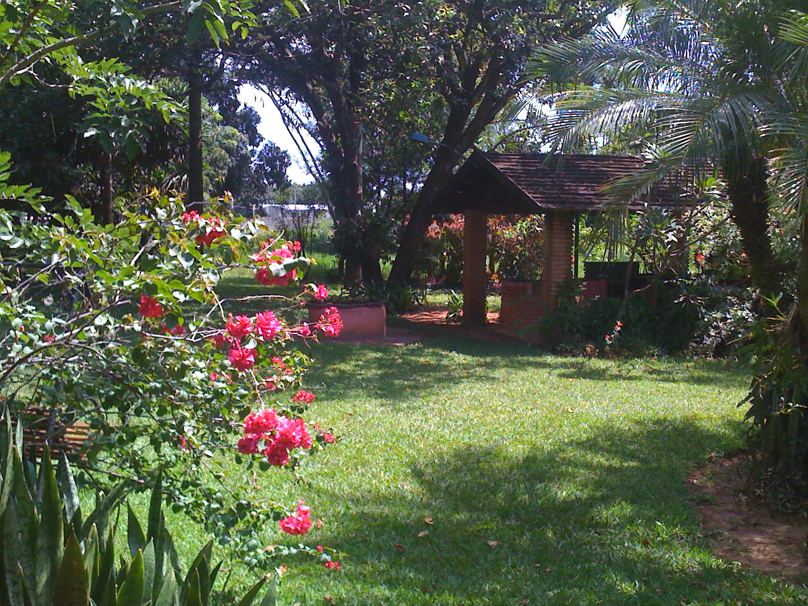 Barbeque area